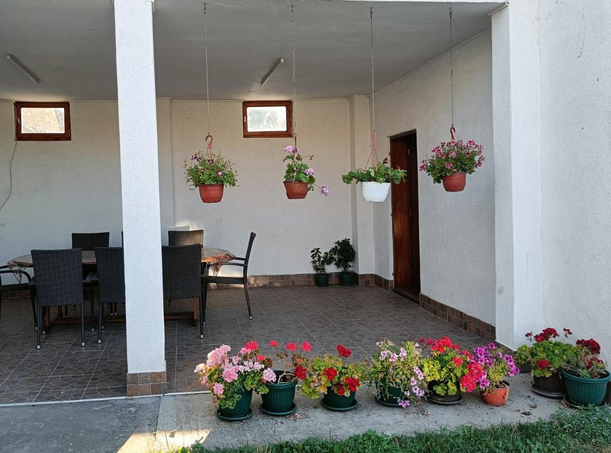 Privatna Soba Dusan Surčin Dış mekan fotoğraf